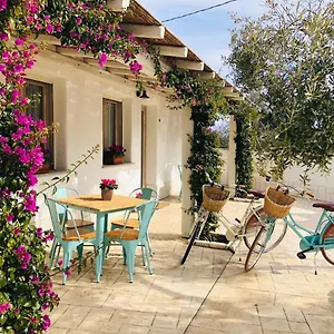 Domus Deiana Appartement